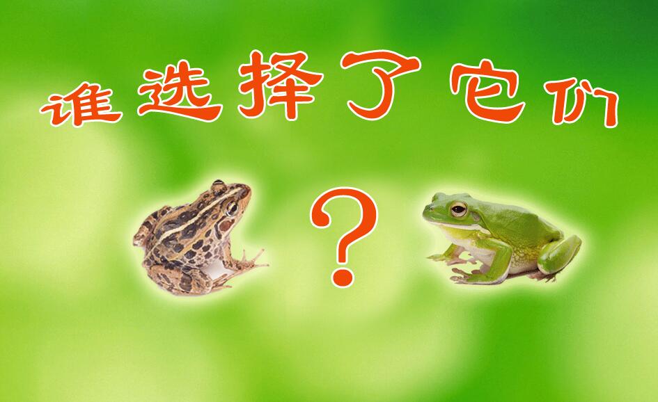 科学课《谁选择了他们？》主题学习网站